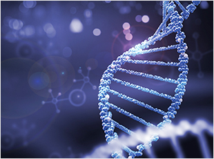 PCR (Polymerase Chain Reaction)